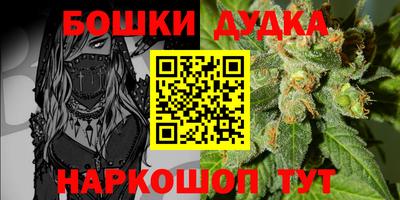 apvp Славгород