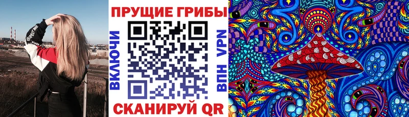 Галлюциногенные грибы мицелий как найти закладки нарко площадка наркотические препараты Сибай