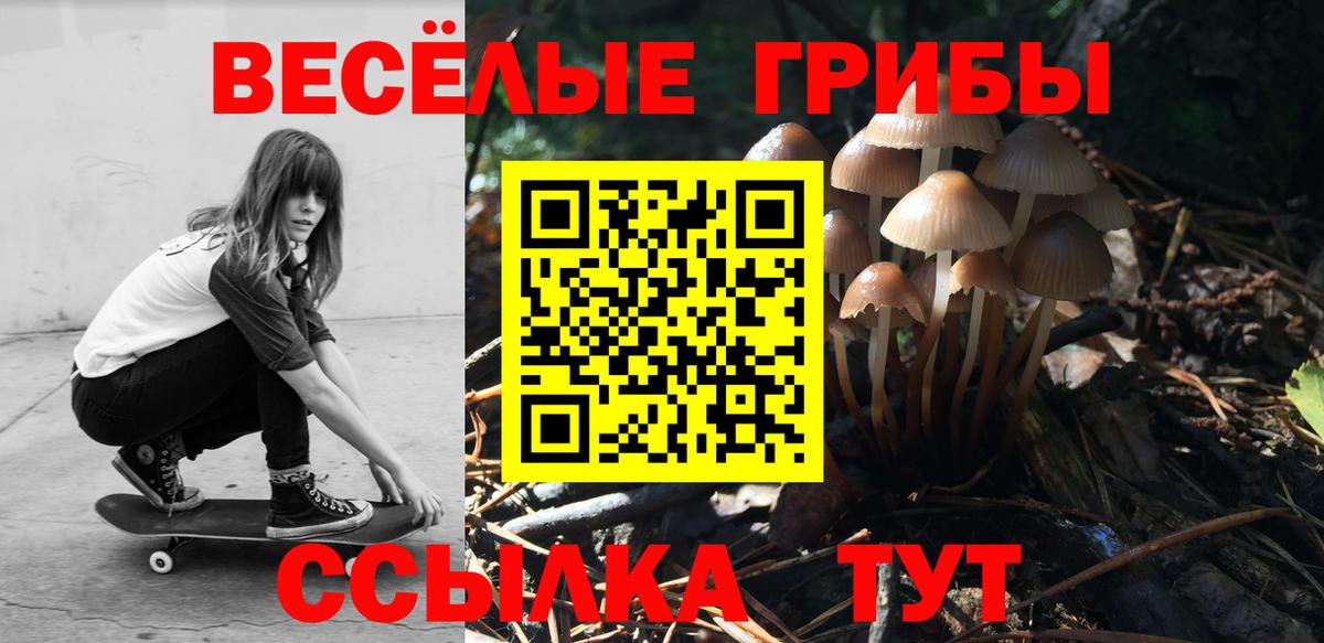 Псилоцибиновые грибы Cubensis Сибай