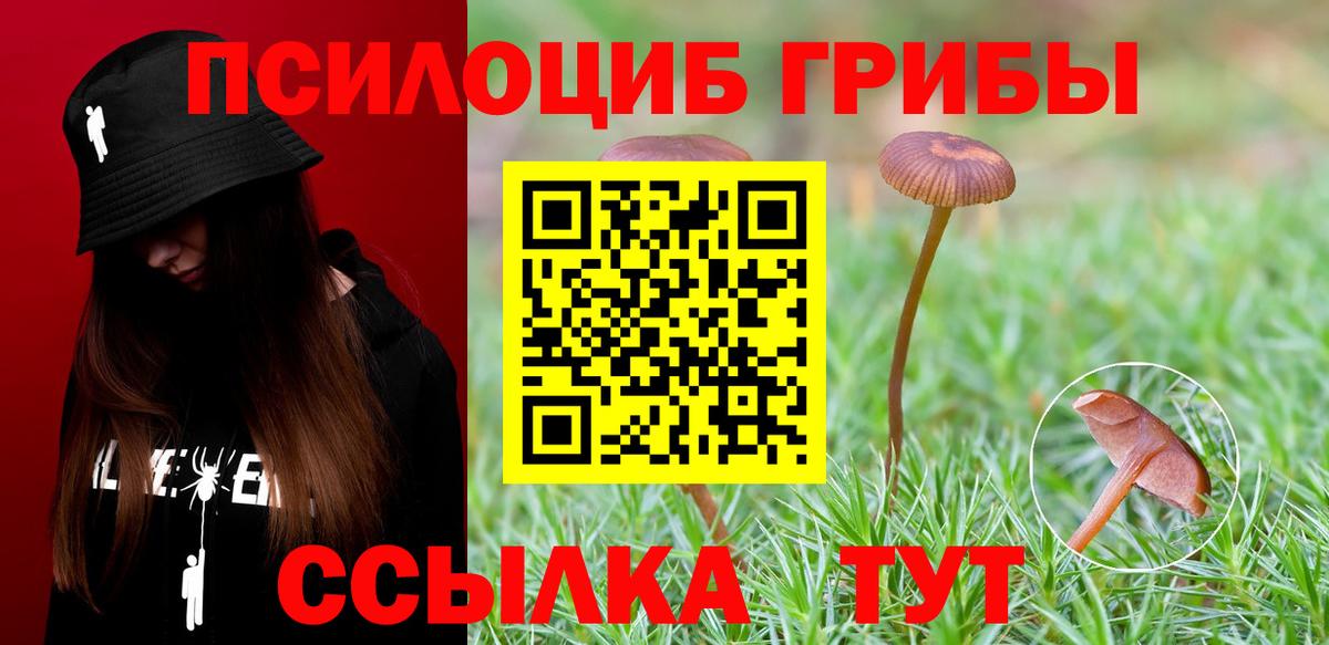 Сибай  Псилоцибиновые грибы MAGIC MUSHROOMS  как найти   Вход с VPN  Псилоцибиновые грибы ЛСД 